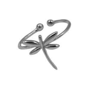 Серебряное кольцо (КК2/1027)